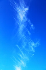 立ち昇る巻雲