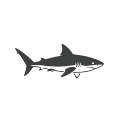 Fototapeta premium Gray Shark Swimming