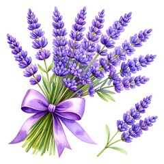 Obraz premium A vibrant watercolor bouquet of lavender flowers with green stems, tied with a purple ribbon, against a white background