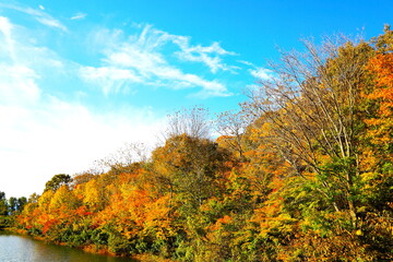池の畔の紅葉風景