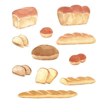 A fresh loaf of crispy bread baked from wheat flour. Hand-painted with watercolors. Set.