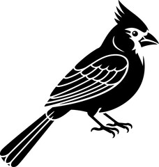 cardinal silhouette vector illustration