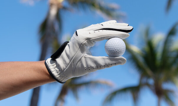 Golfer hold golf ball with hand in glove. Golf player golfing in summer. Golfer do sport outdoor. Golf ball. Summer sport. Golfer wearing glove. Golfing and recreation. Golfing sport. Golfing hobby