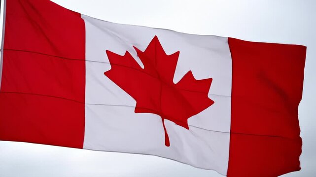 Waving Canadian Flag With Maple Leaf Against Sky