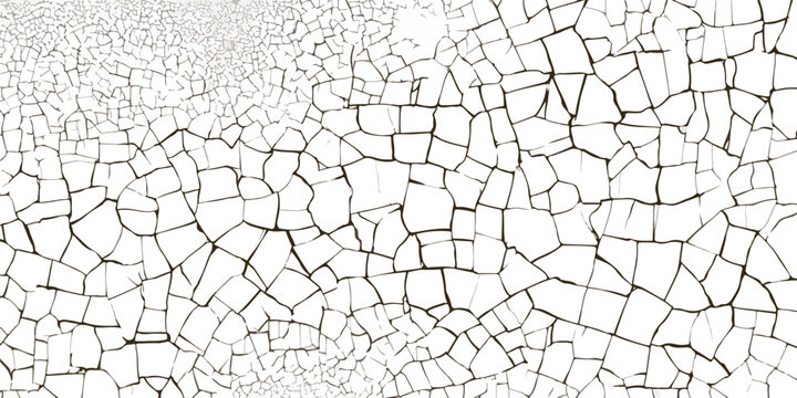 Biała, spękana tekstura powierzchni, abstrakcyjny wz&oacute;r przypominający suche błoto lub farbę.