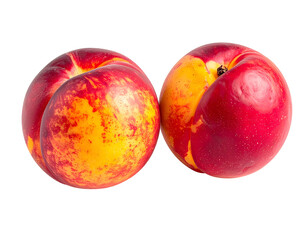 Fototapeta premium Two ripe, round nectarines with red and yellow skin