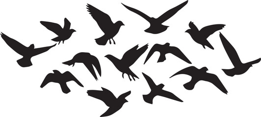 Collection of bird silhouettes in flight on white background