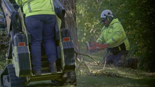 Worker operating a small tracked loader, mini skid steer equipped with clamp or grapple attachment, lifting removing a fallen tree trunk in a park or wooded area