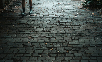 Wooden Pathway Texture Outdoors. Design, architecture, idea, concept