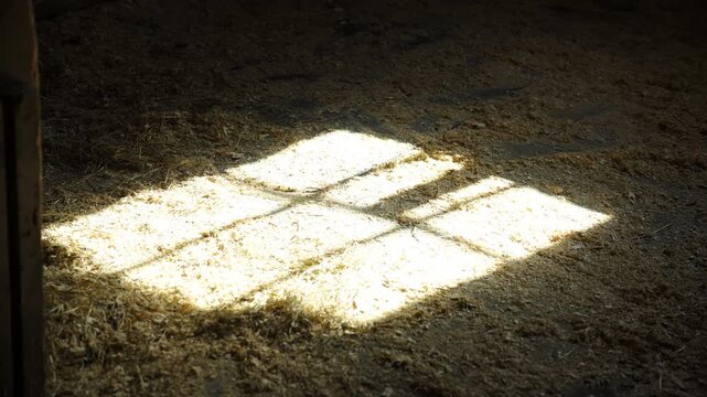 square patch of sunlight shining through a window onto a barn or stable floor covered with hay and dust.