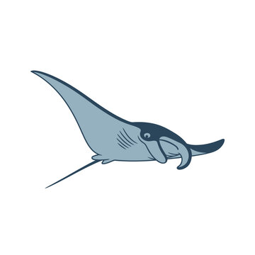 Elegant Stingray Gliding