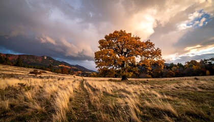 A sprawling tree with golden leaves stands in a field of dry grass, under a dramatic, cloudy sky. Mountains in the distance