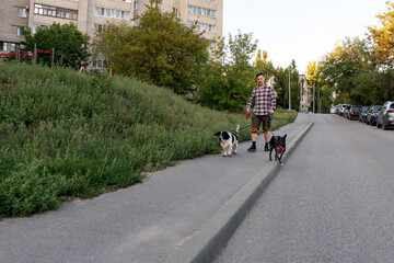 Man in plaid shirt and shorts walks two leashed dogs along quiet suburban street, bordered by...