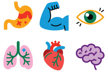 Detailed flat vector icons for human body, showing heart, brain, lungs, representing health, medicine, and biology,