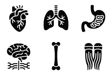 Fototapeta premium Flat color icons for human body, illustrating brain, heart, bones, representing internal organs and health,