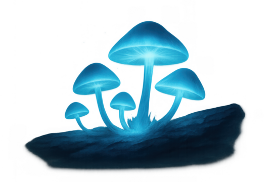 Bioluminescent mushrooms glowing blue in a fantasy forest, creating a magical light on a transparent background