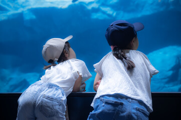 水族館の大きな水槽を見つめる子どもたち