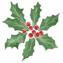 Holly Leaves and Red Berries Christmas Decoration Illustration © Ndari
