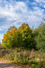 Landschaft im Herbst