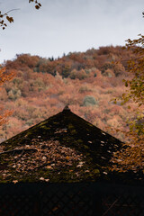 Wooden cabin covered in fallen leaves. Autumn landscape in the mountains of Romania
