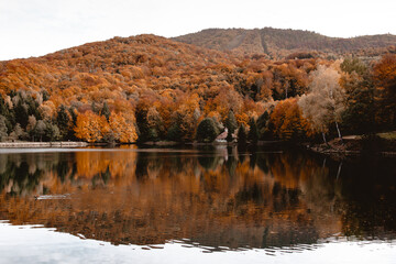 utumn lake reflection of forest in Maramures mountains, Romania. Rural magical landscape photography of nature covered in fall colors