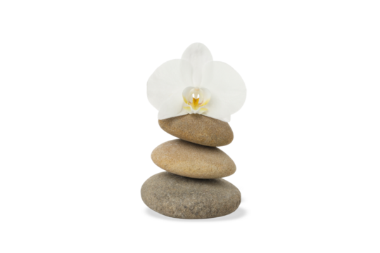 Orchid atop stones for a calming vibe, on white, PNG