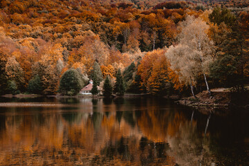 utumn lake reflection of forest in Maramures mountains, Romania. Rural magical landscape photography of nature covered in fall colors