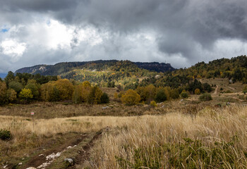 Autumn walks in the nature park in the morning in the countryside in the rays of the rising sun and a little fog