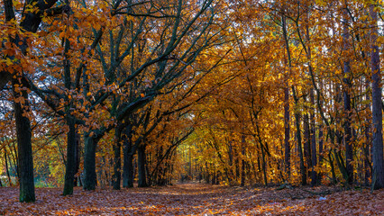 Landschaft im Herbst