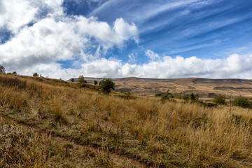 Autumn walks in the nature park in the morning in the countryside in the rays of the rising sun and a little fog