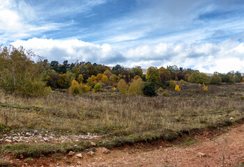 Autumn walks in the nature park in the morning in the countryside in the rays of the rising sun and a little fog