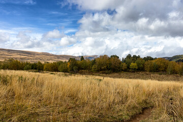 Autumn walks in the nature park in the morning in the countryside in the rays of the rising sun and a little fog