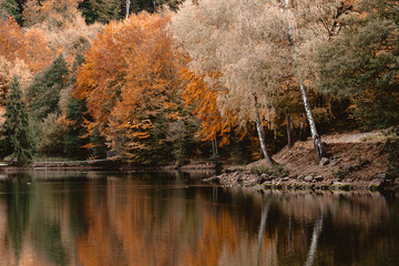 utumn lake reflection of forest in Maramures mountains, Romania. Rural magical landscape photography of nature covered in fall colors