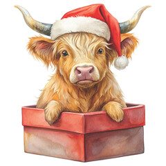 cute highland cow sitting on a big wrapped Christmas gift box clipart white background 
