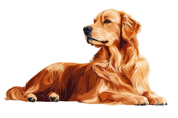 A flat style illustrated Golden Retriever, isolate on white background, showcasing its playful and energetic nature. PNG