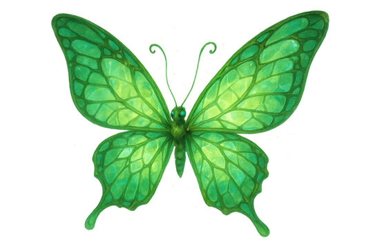 Green tropical butterfly with patterned wings flying, nature insect illustration, watercolor painting, transparent background