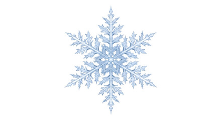 Intricate snowflake isolated on transparent background