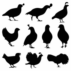 Quail Silhouettes - Various P...