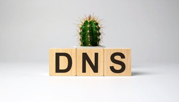 Cactus atop wood blocks spelling "DNS" on a white surface