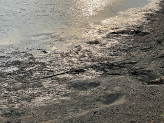 black and white sand texture background.