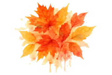 Watercolor autumn leaves forming a vibrant organic splash, showing a blend of orange, yellow, and red hues, transparent background