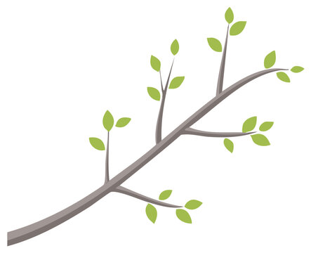 A simple flat design illustration of a budding tree branch with green leaves on a white background