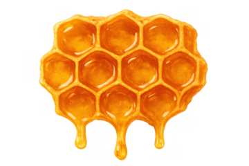 Golden dripping honey on a honeycomb piece with hexagonal cells, natural sweet organic food, transparent background