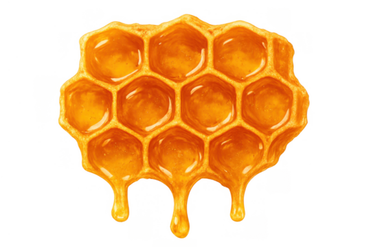 Golden dripping honey on a honeycomb piece with hexagonal cells, natural sweet organic food, transparent background