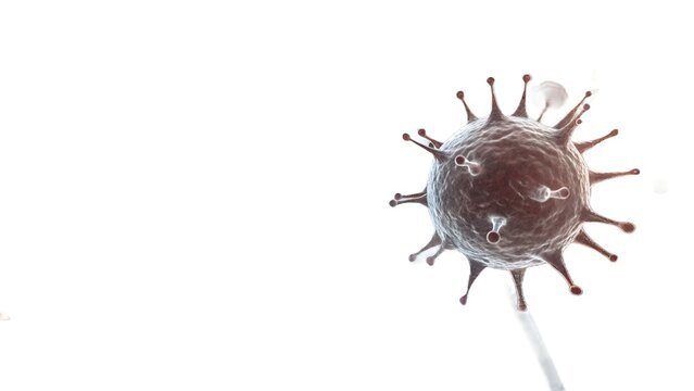 Microscopic View of a Virus or Pathogen