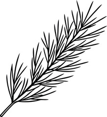Black line art pine branch with needles on background 3 © Abdul