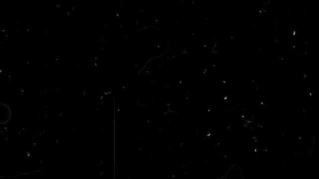 heavy scratches, dirt and film grain, creating a technical grunge animated photocopy backdrop