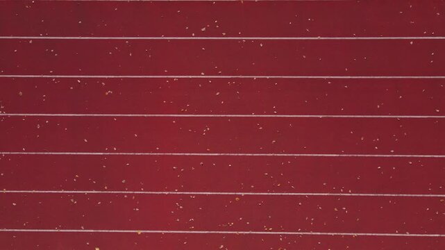 Top down view of man in orange sports jacket jogging on red running track with white lines and autumn leaves. Concept of outdoor training and healthy lifestyle