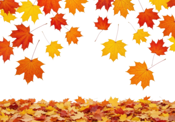 Autumn leaves falling and piled up transparent background cutout png