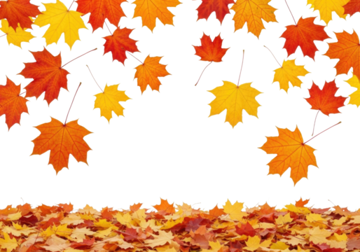 Autumn leaves falling and piled up transparent background cutout png
